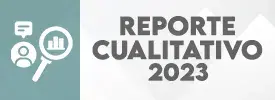 Reporte Cualitativo