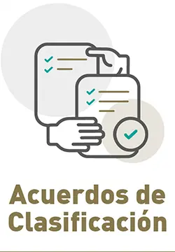 Acuerdos de Clasificación